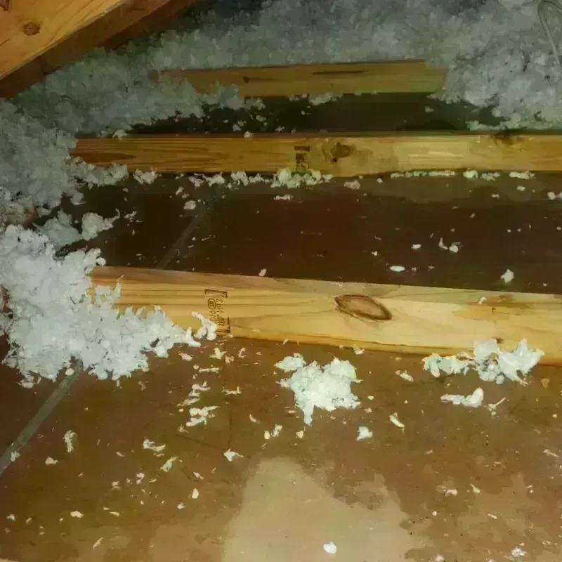 Attic Water Damage in Rand, WV