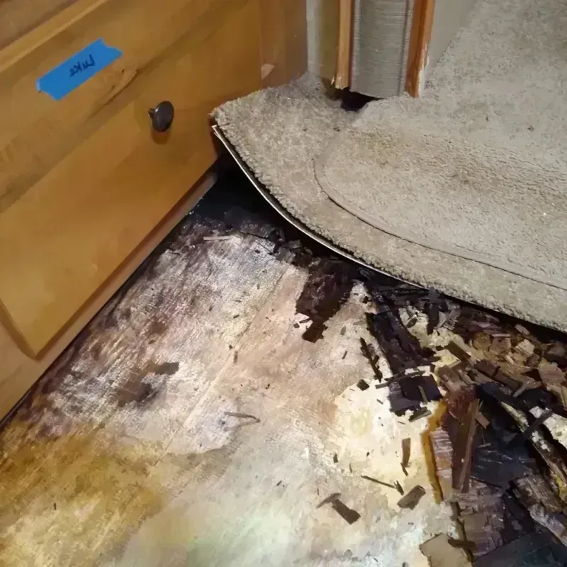 Wood Floor Water Damage in Rand, WV